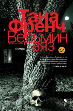 Тана Френч Ведьмин вяз обложка книги