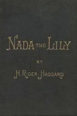 Генри Хаггард Nada the Lily обложка книги