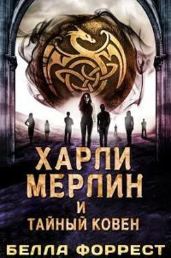 Белла Форрест Харли Мерлин и Тайный Ковен обложка книги