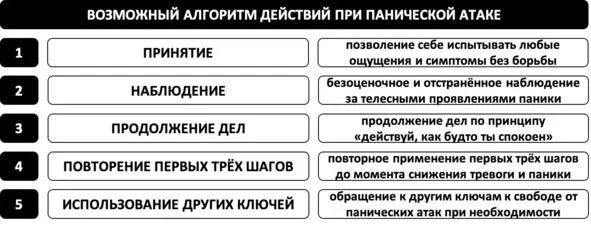 Рис 80 Возможный алгоритм действий при панической атаке Иррациональные - фото 144