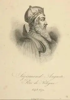 Сигизмунд II Август последний король Польши из династии Ягеллонов 15481572 - фото 36