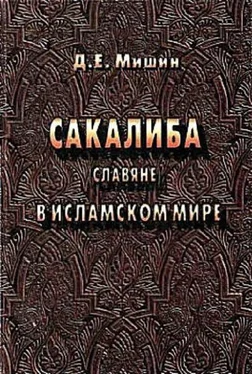 Дмитрий Мишин Сакалиба (славяне) в исламском мире в раннее средневековье обложка книги