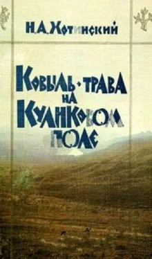 Никита Хотинский Ковыль-трава на Куликовом поле обложка книги