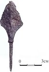 Одной из первых находок в 1995 г в результате поисковых работ ВДАЭ ГИМ - фото 26