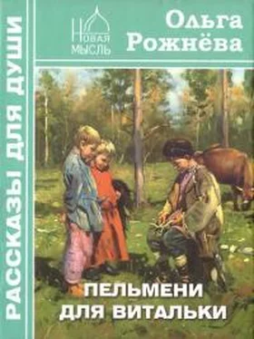 Ольга Рожнёва Пельмени для Витальки обложка книги