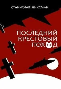 Станислав Никсман Последний крестовый поход обложка книги