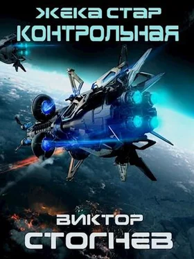 Виктор Стогнев Контрольная обложка книги