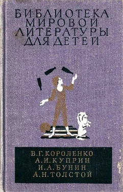 Владимир Короленко Библиотека мировой литературы для детей, т. 14
