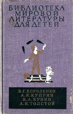 Владимир Короленко Библиотека мировой литературы для детей, т. 14 обложка книги