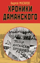 Андрей Мусалов - Хроники Даманского