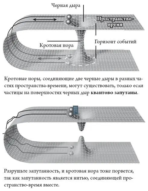 Рис 84 Ткань реальности она может быть соткана из квантовой запутанности - фото 32
