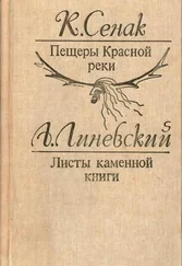 Александр Линевский - Пещеры Красной реки. Листы каменной книги [Исторические повести]