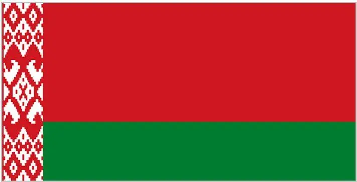 СОВРЕМЕННЫЙ БЕЛОРУССКИЙ ФЛАГ БЫЛ УТВЕРЖДЕН В 1995 ГОДУ А В 2012М В - фото 26