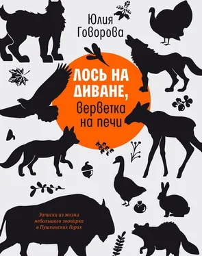 Юлия Говорова Лось на диване, верветка на печи обложка книги