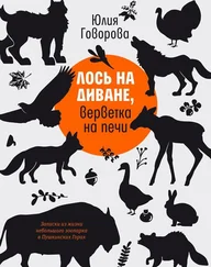 Юлия Говорова - Лось на диване, верветка на печи