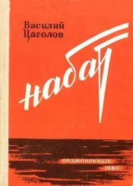 Василий Цаголов Набат обложка книги