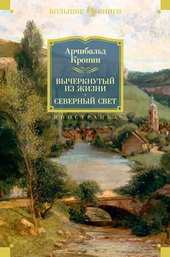 Арчибальд Кронин Вычеркнутый из жизни. Северный свет [сборник litres] обложка книги