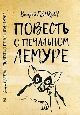 Валерий Генкин Повесть о печальном лемуре обложка книги