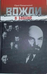 Юрий Фельштинский - Вожди в законе