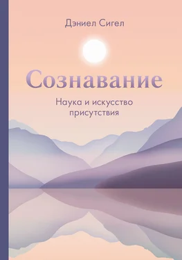 Дэниэл Сигел Сознавание обложка книги