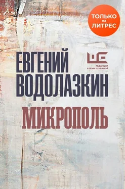 Евгений Водолазкин Микрополь обложка книги