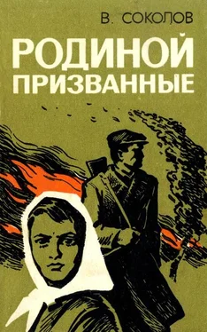 Владимир Соколов Родиной призванные обложка книги