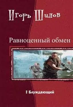 Игорь Шилов Блуждающий обложка книги