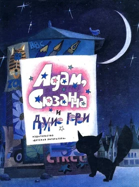 Эвелине Хаслер Адам, Сюзанна и другие герои обложка книги