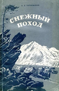 Ной Заржевский Снежный поход обложка книги