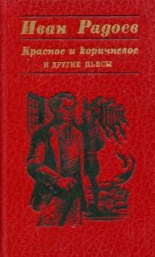 Иван Радоев «Красное и коричневое» и другие пьесы обложка книги