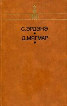 Сэнгийн Эрдэнэ Избранное обложка книги