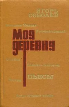 Игорь Соболев Моя деревня обложка книги