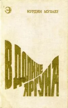 Нурдин Музаев В долине Аргуна обложка книги