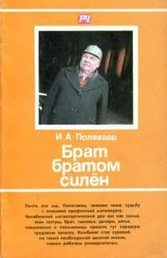 Иван Полегаев Брат братом силён обложка книги