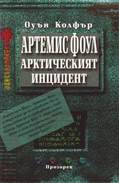 Йон Колфер Арктическият инцидент обложка книги