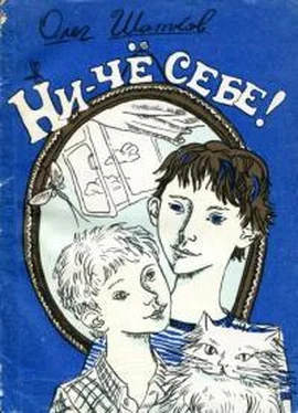 Олег Шатков Ни-чё себе! обложка книги