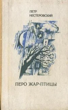 Пётр Нестеровский Перо жар-птицы обложка книги