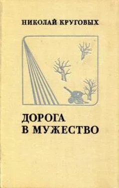 Николай Круговых Дорога в мужество обложка книги