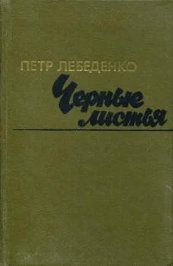 Пётр Лебеденко Черные листья обложка книги