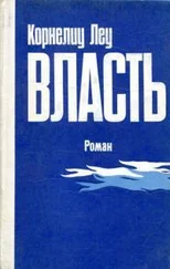 Корнелиу Леу - Власть