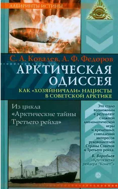 Анатолий Фёдоров Арктическая одиссея. Как «хозяйничали» нацисты в советской Арктике обложка книги