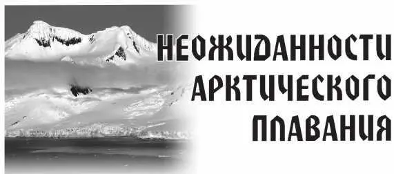 Вернулся ледокол примерно через 10 часов с известием которое ошеломило Эйссена - фото 14