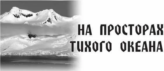 Итак в обличье советского Семена Дежнева рейдероборотень вышел на - фото 15