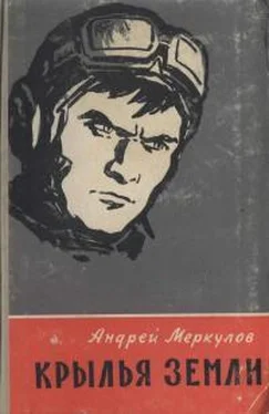 Андрей Меркулов Крылья земли обложка книги