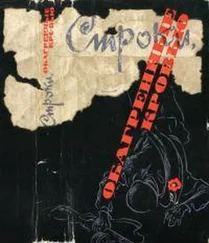 Владимир Широков - Строки, обагренные кровью