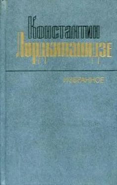 Константин Лордкипанидзе Избранное обложка книги