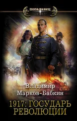 Владимир Марков-Бабкин - 1917 - Государь революции [litres]