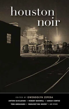 Sarah Cortez Houston Noir обложка книги