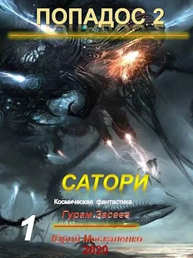 Гурам Засеев Сатори [СИ] обложка книги