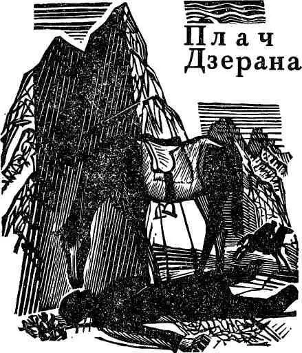 От свидетелей тех событий остались в живых бабушка Марико дядя Иорам и Дзеран - фото 4